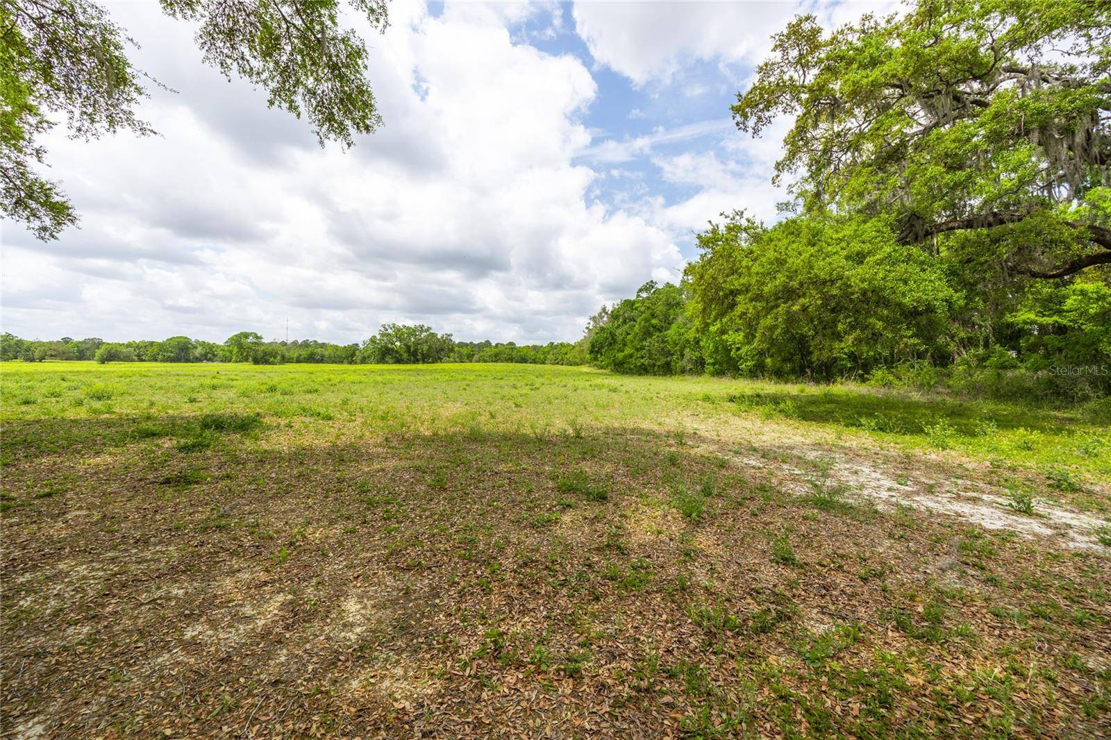Newberry, FL 32669,TBD SW 220TH DR