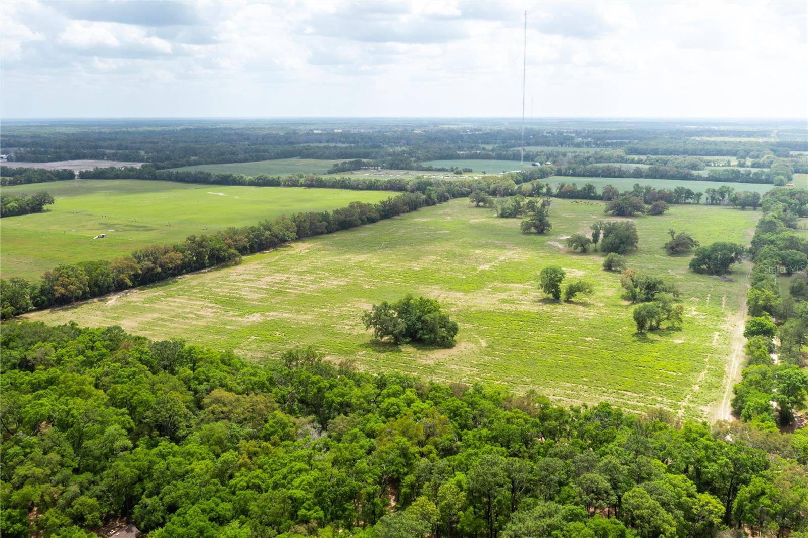 Newberry, FL 32669,TBD SW 220TH DR