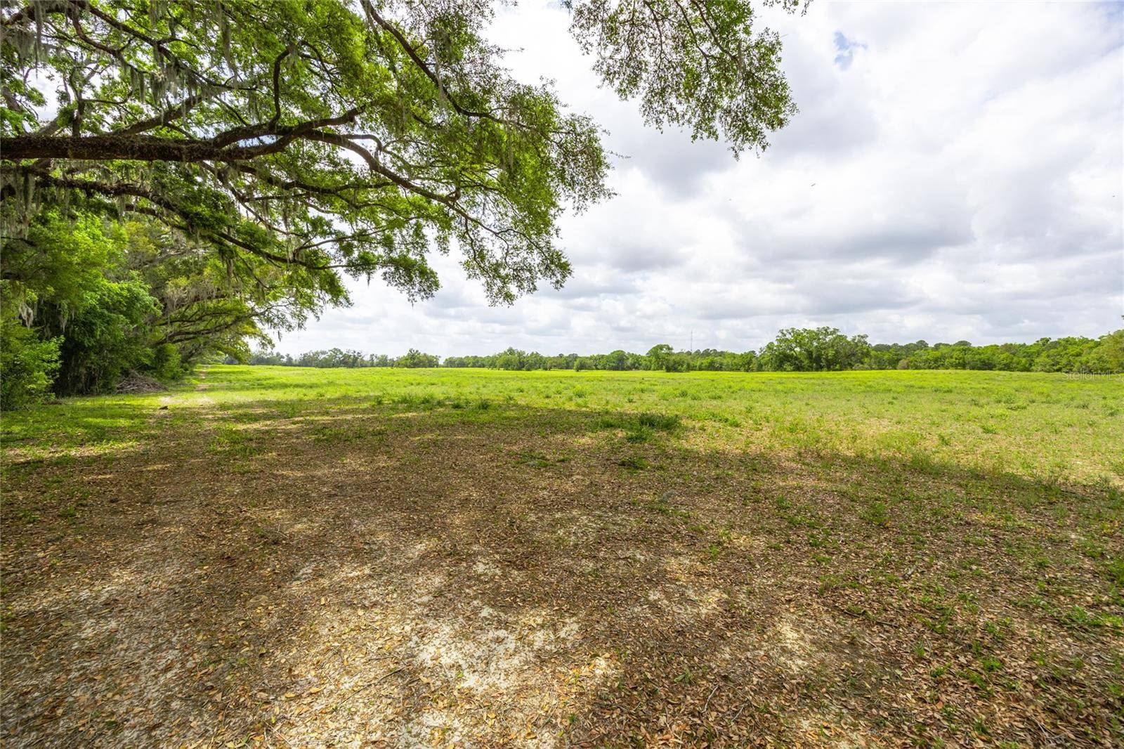 Newberry, FL 32669,TBD SW 220TH DR