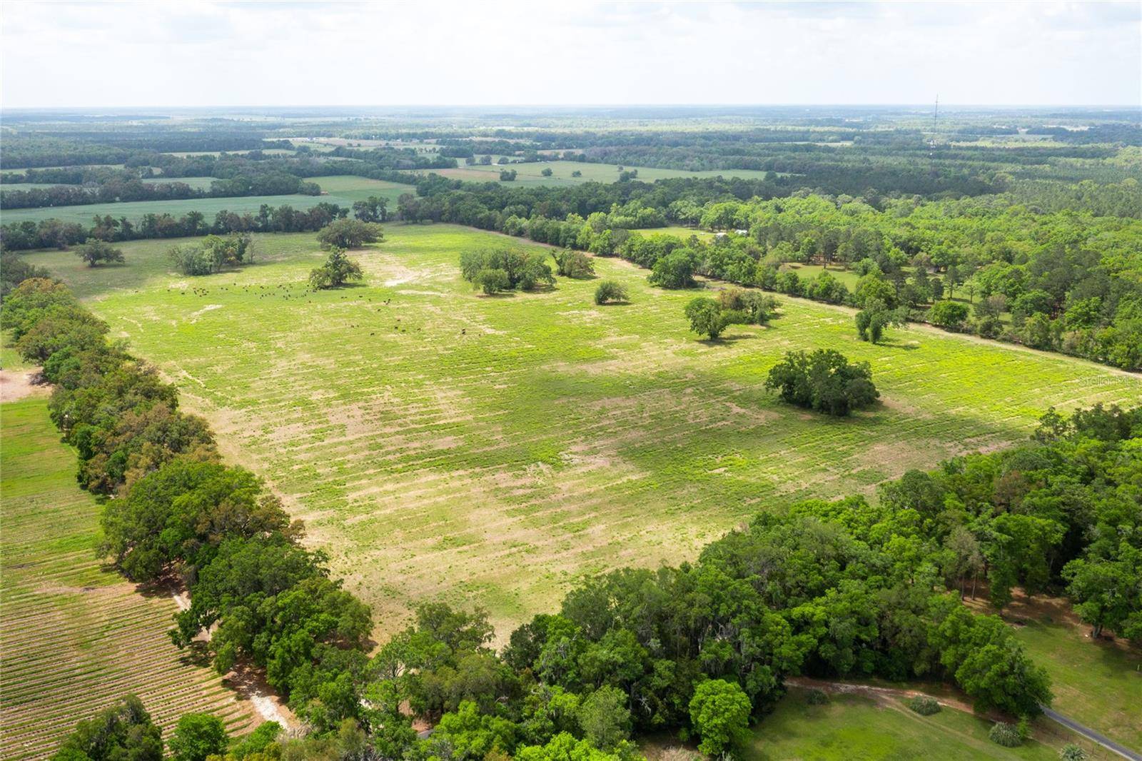 Newberry, FL 32669,TBD SW 220TH DR
