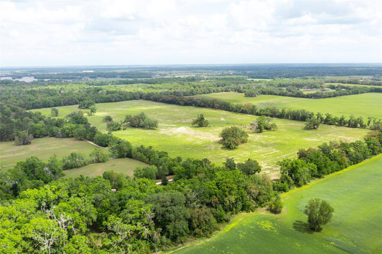 Newberry, FL 32669,TBD SW 220TH DR