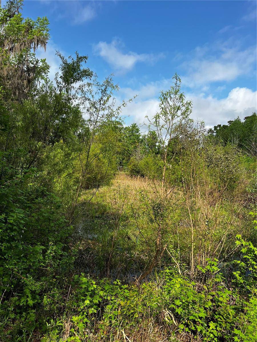 Lake Butler, FL 32054,5572 SW 111TH LN