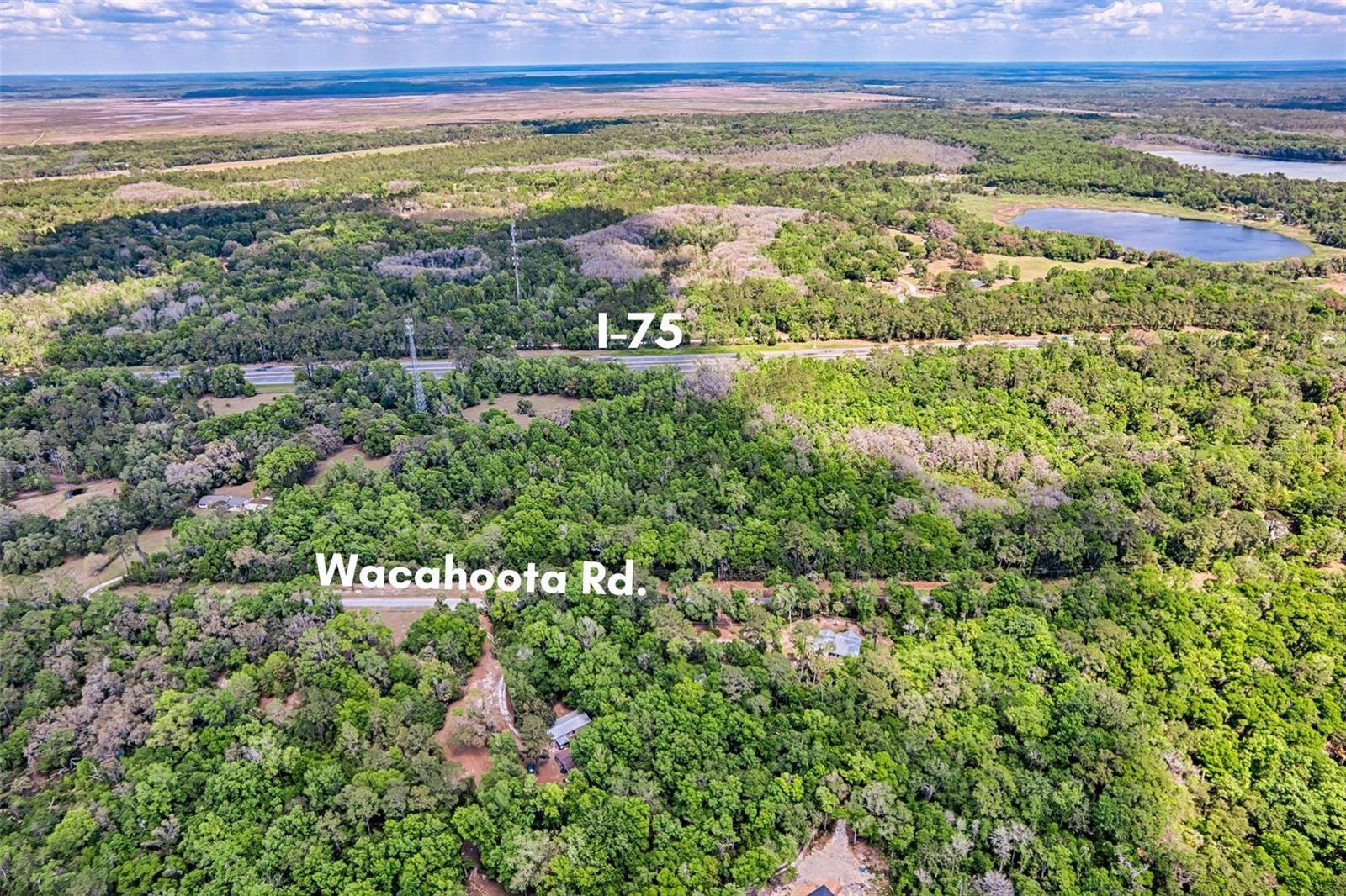 Micanopy, FL 32667,110 SE WACAHOOTA RD