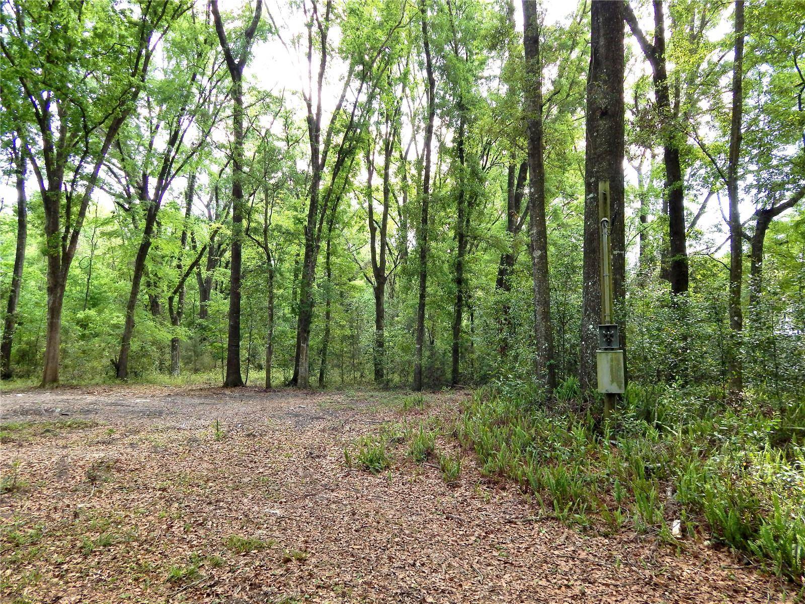 High Springs, FL 32643,352 SE HAPPY VALLEY GLN