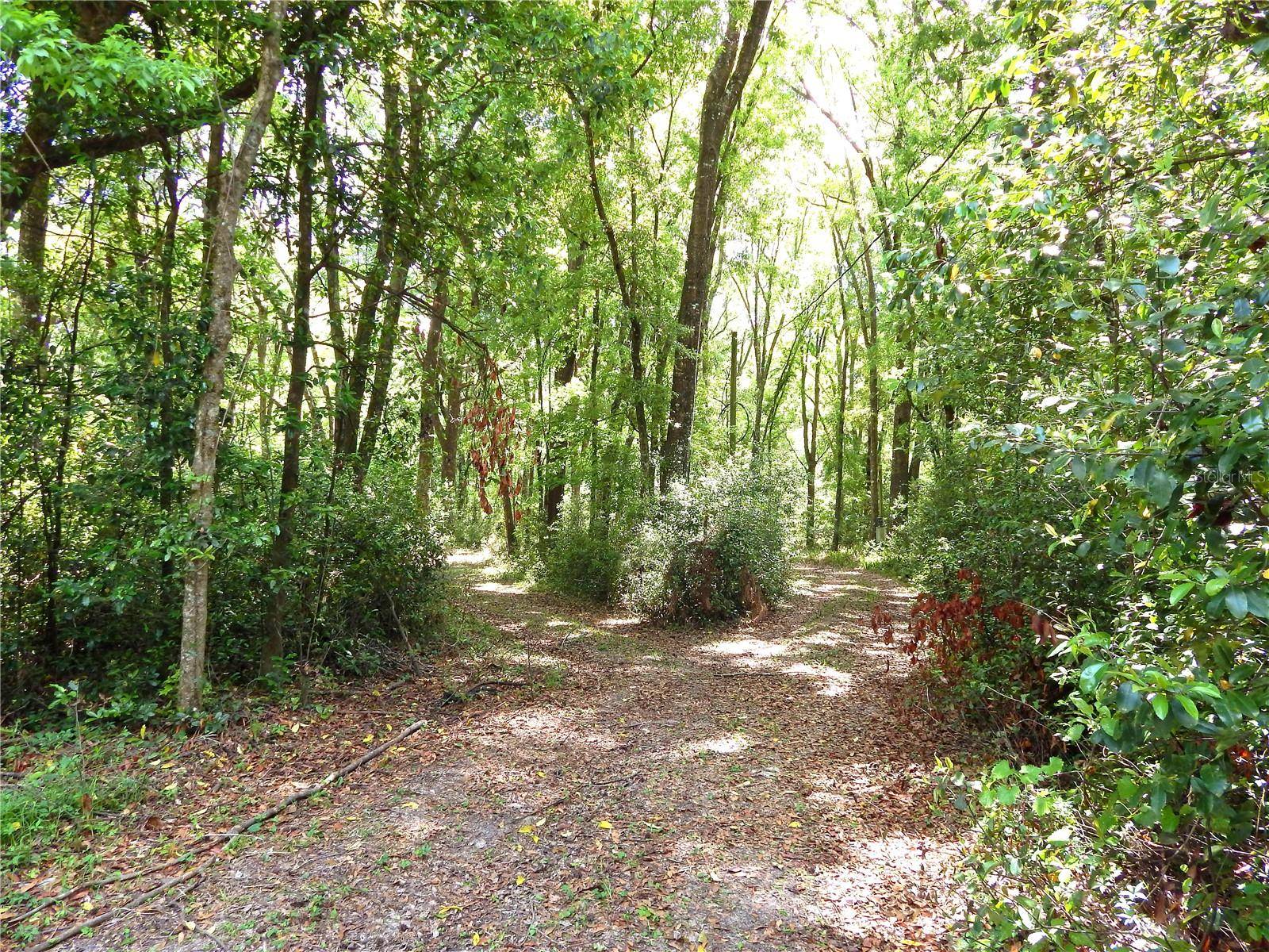 High Springs, FL 32643,352 SE HAPPY VALLEY GLN