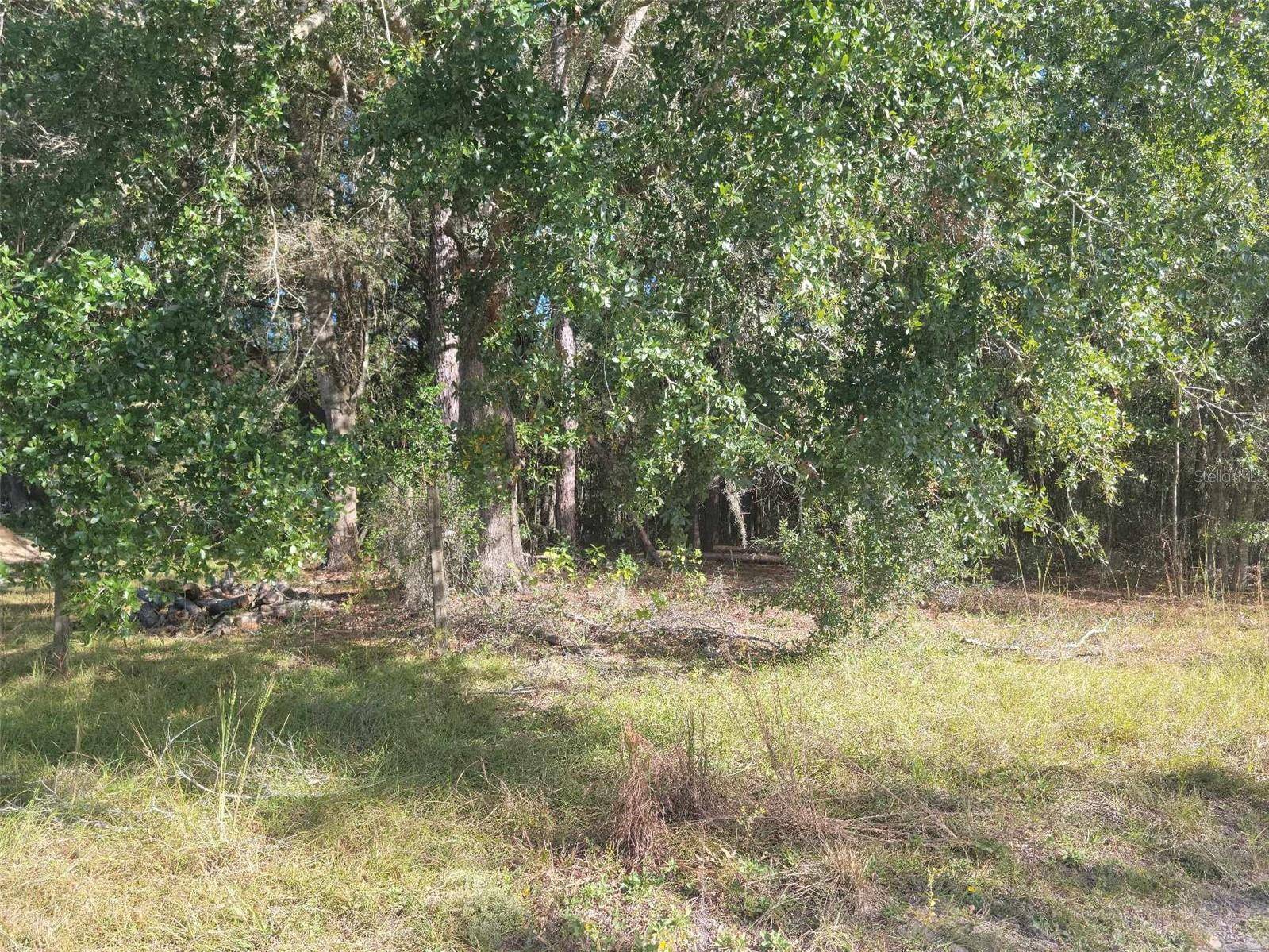 Newberry, FL 32669,SW 61ST PLACE