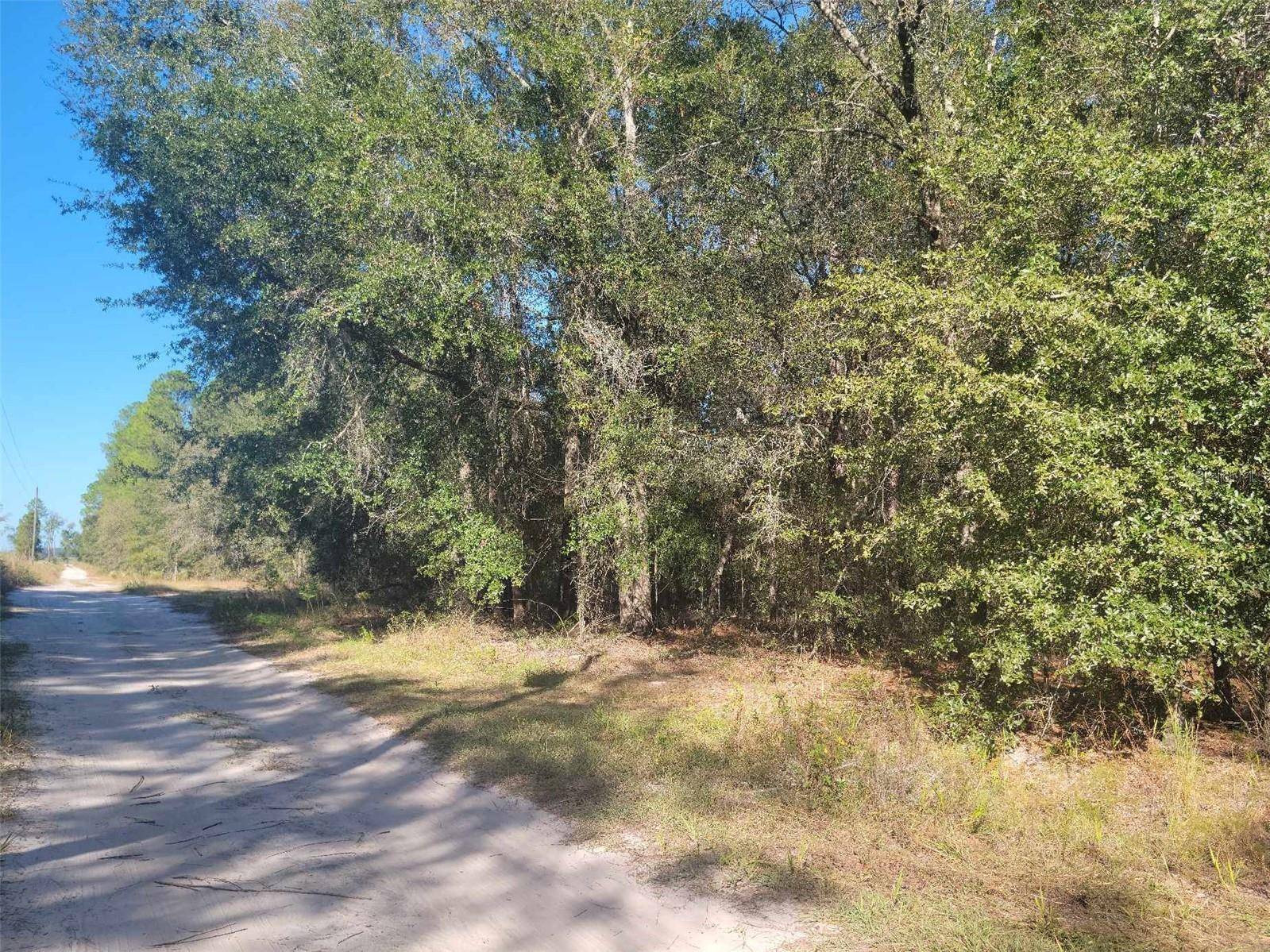 Newberry, FL 32669,SW 61ST PLACE