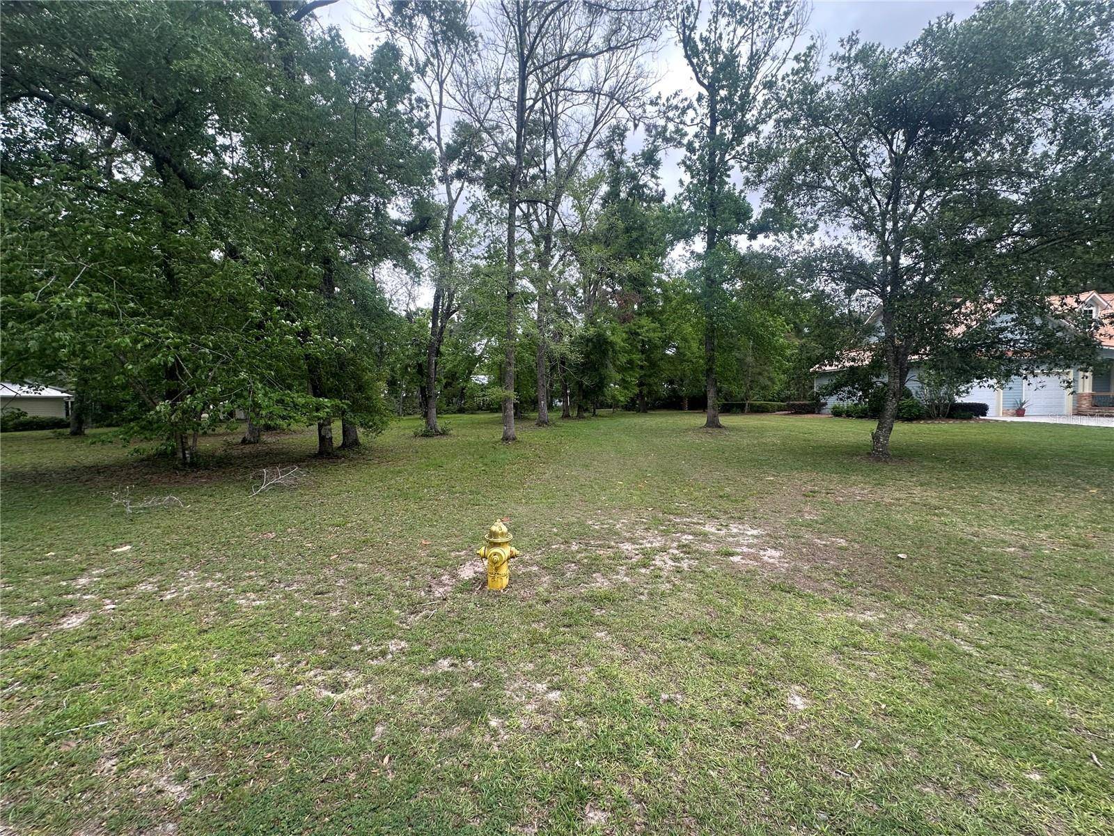 Fanning Springs, FL 32693,9220 EMILY DR