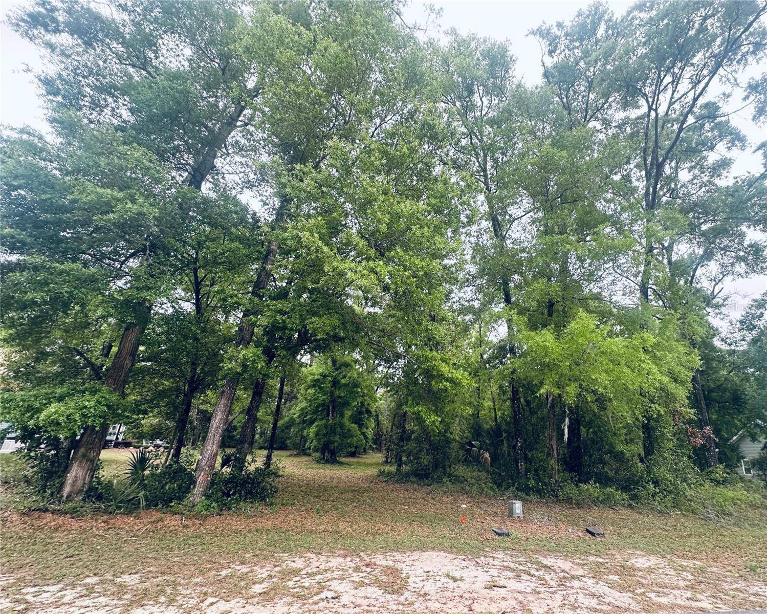 Fanning Springs, FL 32693,9260 EMILY DR