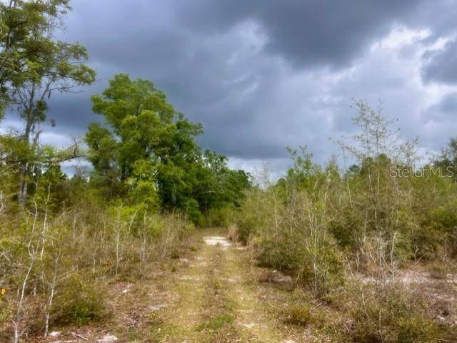 Branford, FL 32008,NE 998TH AVE