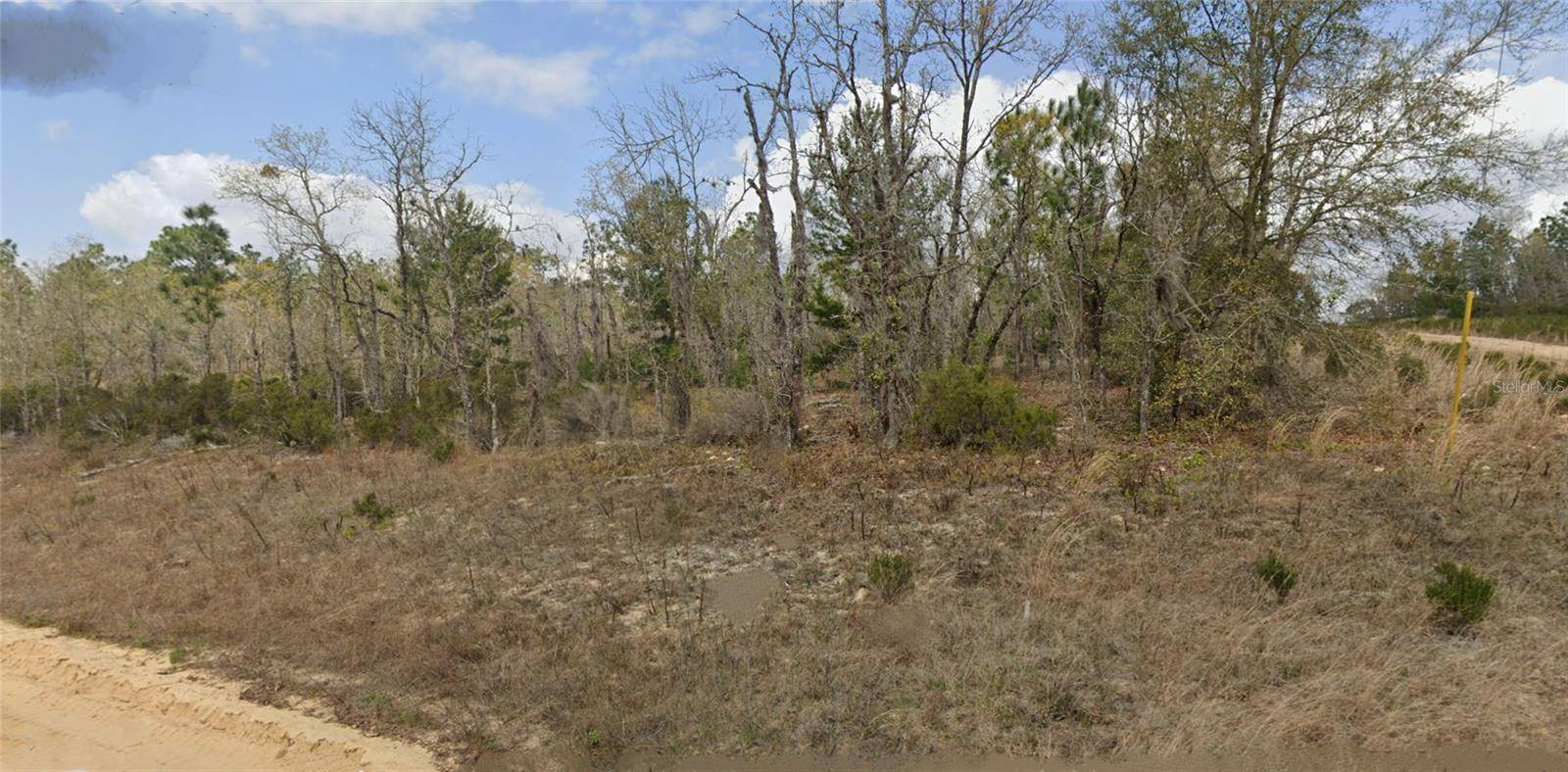 Interlachen, FL 32148,Lot 34 TWIN LAKES BLVD
