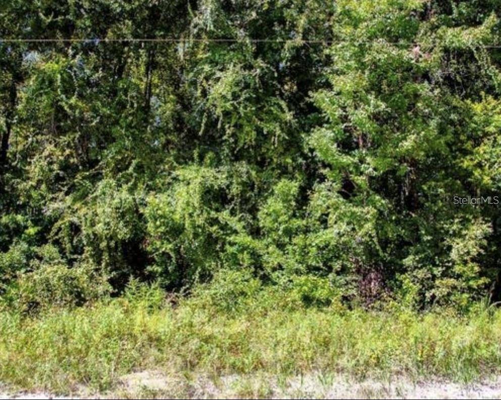 Old Town, FL 32680,TBD NE 642ND ST