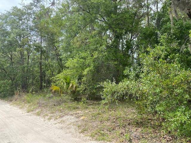 Bronson, FL 32621,NE 67TH ST