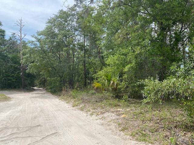Bronson, FL 32621,NE 67TH ST