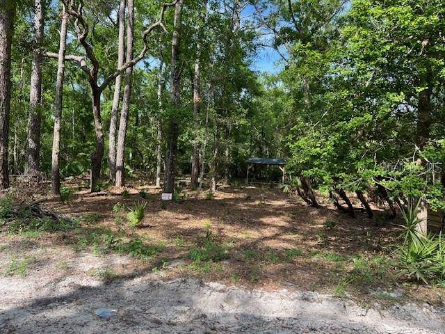 Old Town, FL 32680,00 SE 929TH ST