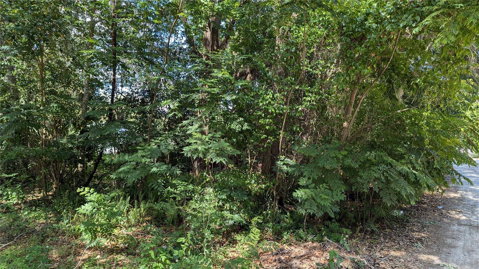 Gainesville, FL 32609,2602 NE 70TH ST