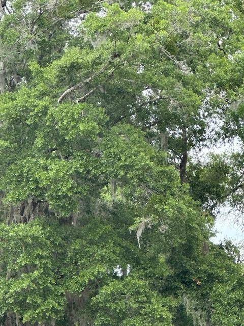 Gainesville, FL 32641,3406 SE 15TH AVE