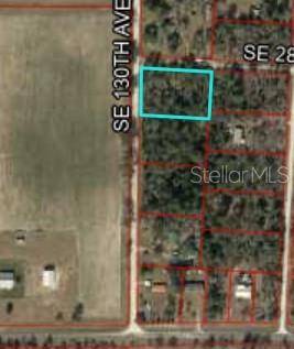 Bronson, FL 32621,TBD SE 130TH AVE