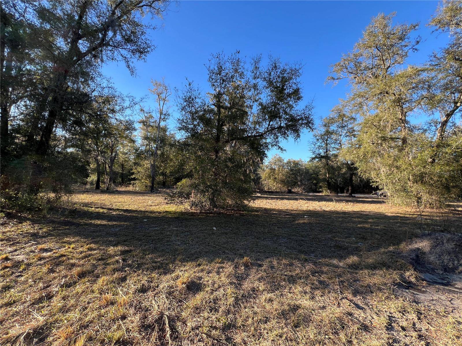 Bronson, FL 32621,TBD NE 127TH PL