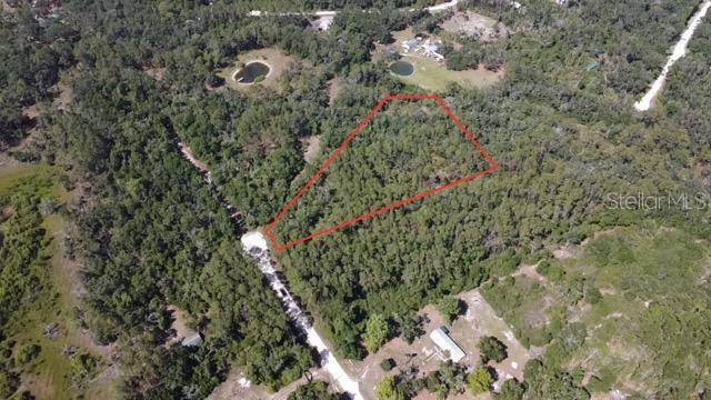 Old Town, FL 32680,Lot 39 NE 512TH ST