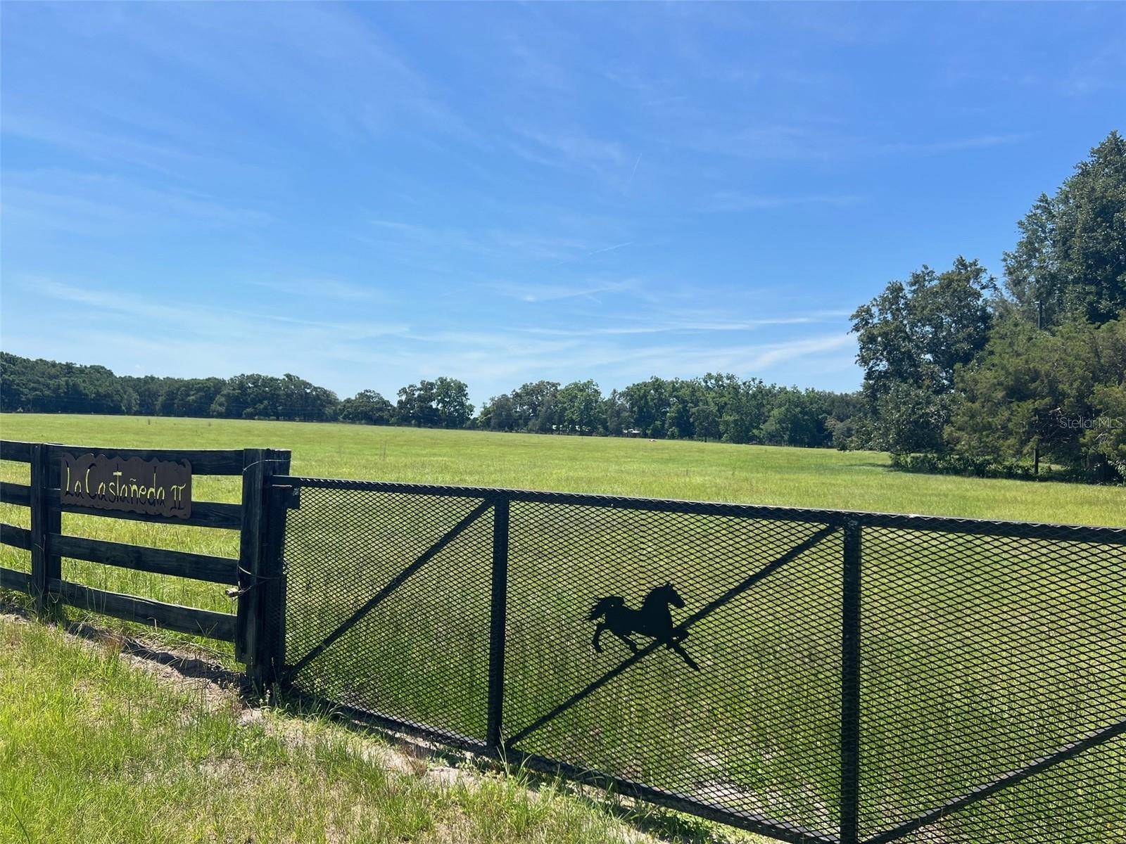 High Springs, FL 32643,00 NW 165TH AVE