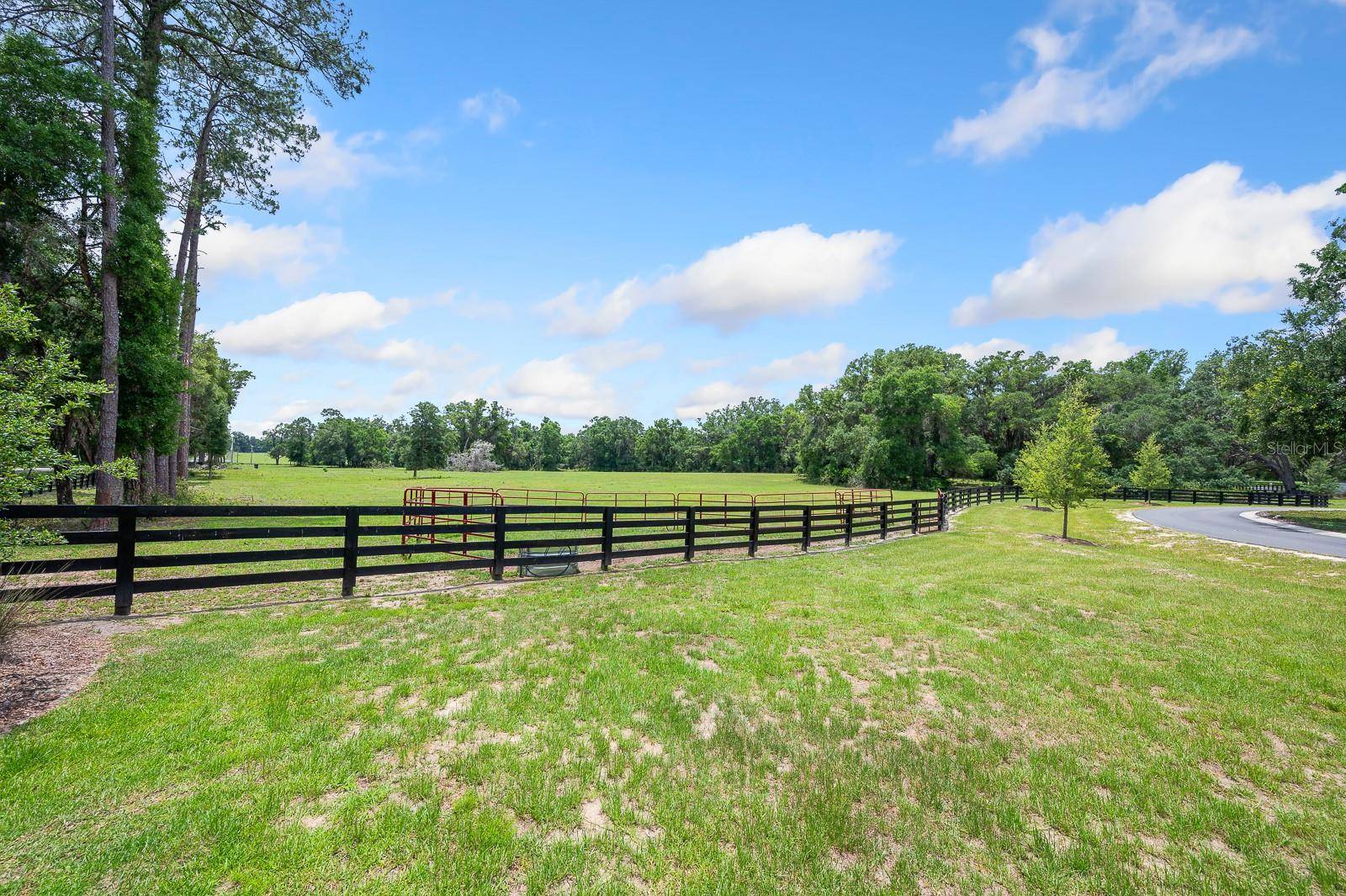 Newberry, FL 32669,241