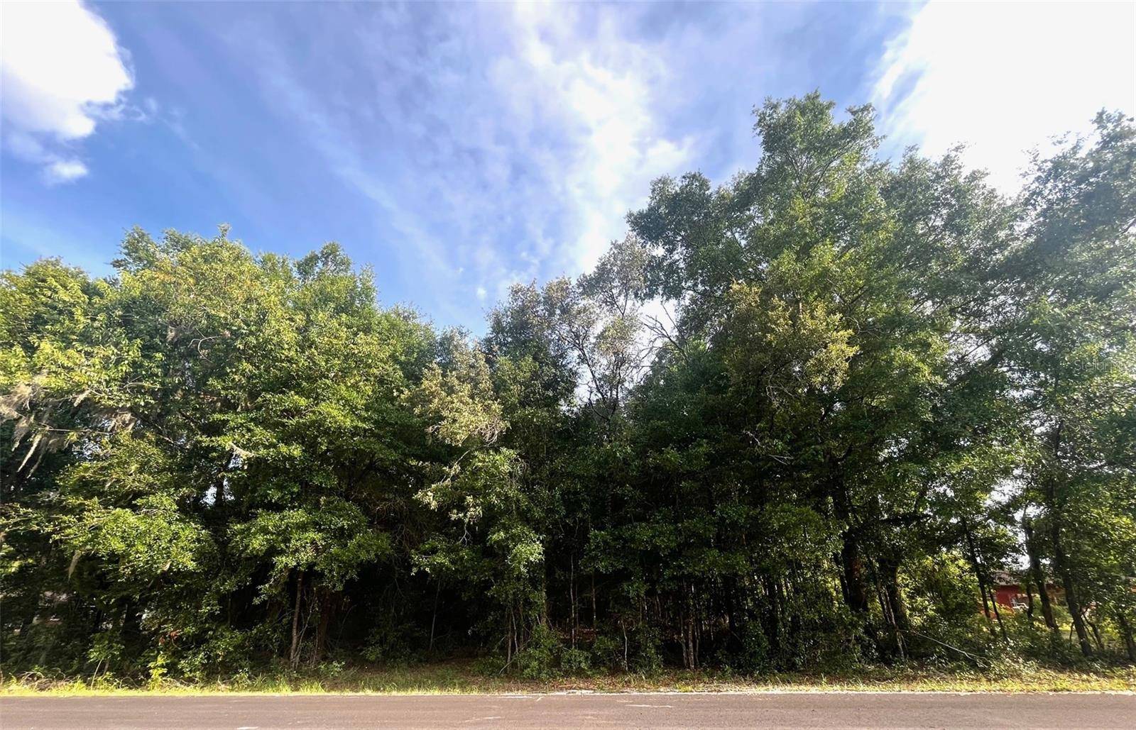 High Springs, FL 32643,0000 NE 56TH ST