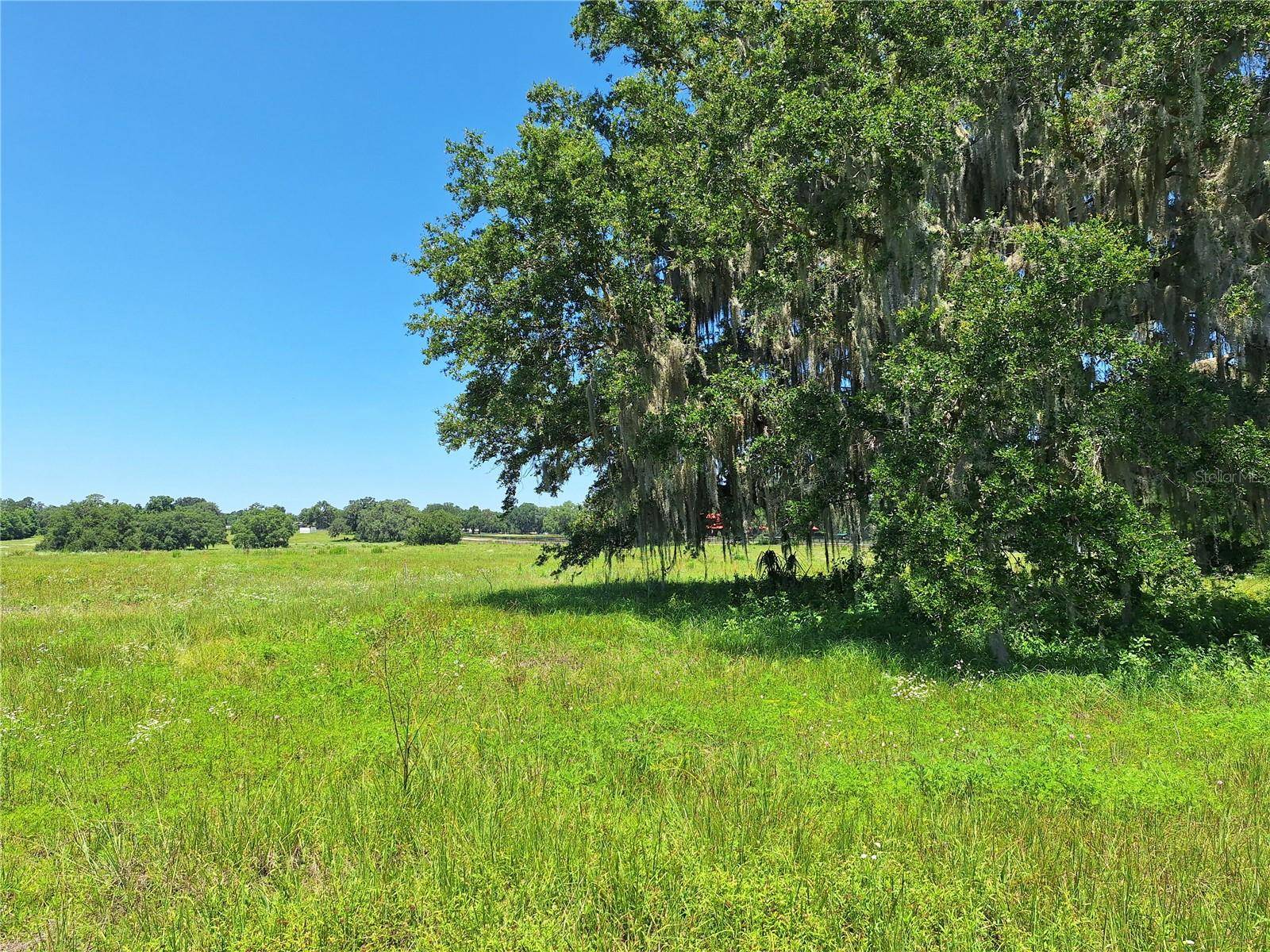 Morriston, FL 32668,000 NW 154TH AVE. RD.