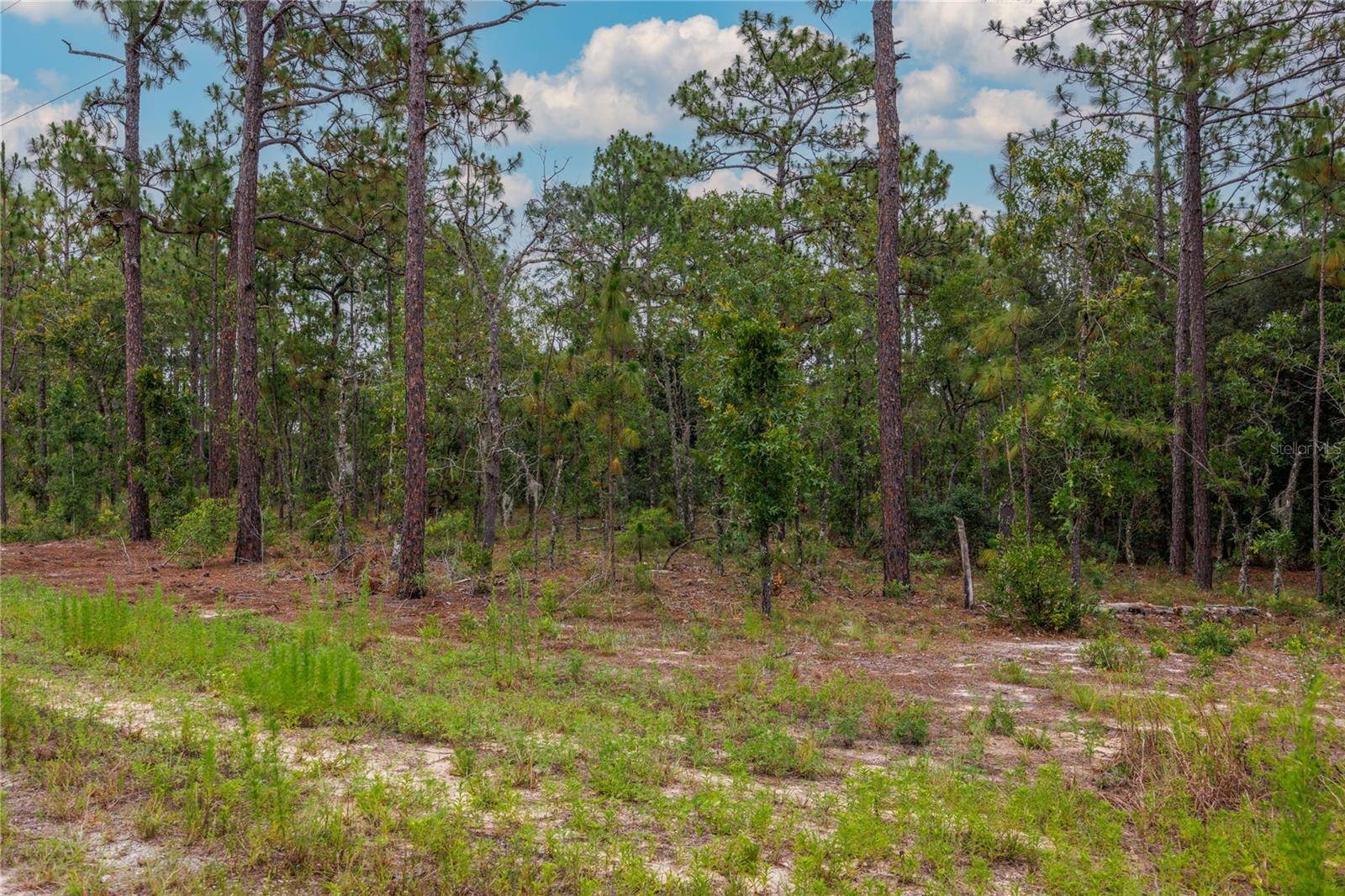 Williston, FL 32696,TBD NE 149TH CT