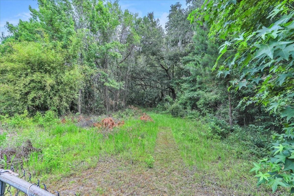 Micanopy, FL 32667,16805 HIGHWAY 441 S