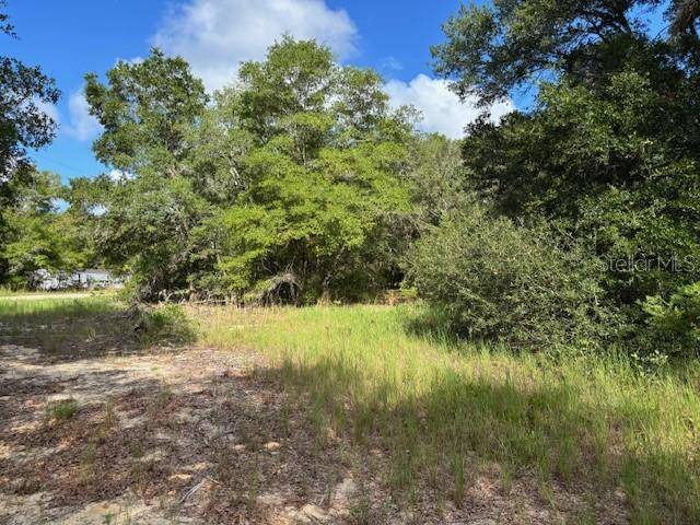 Keystone Heights, FL 32656,6392 AMHERST AVE