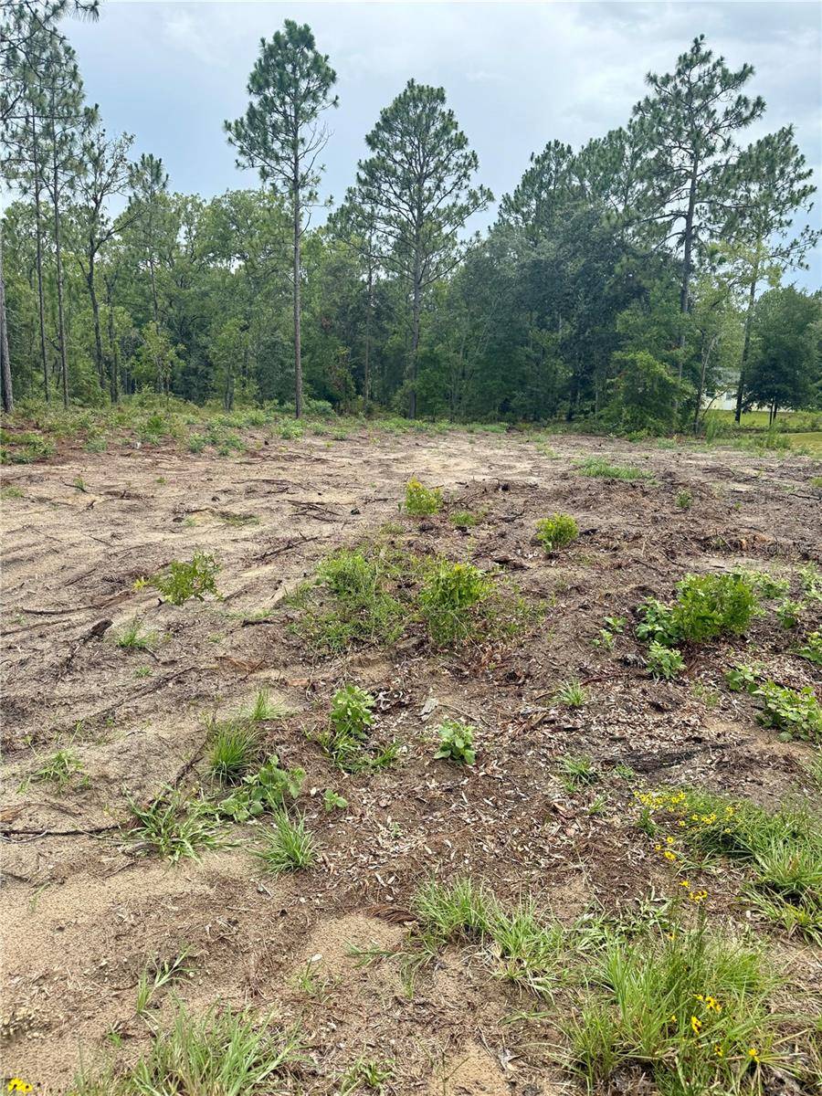 Williston, FL 32696,TBD NE 151ST TER