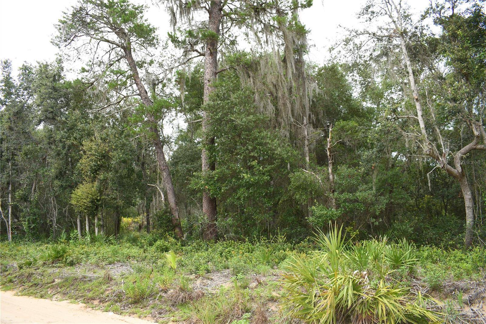 Fort Mc Coy, FL 32134,TBD NE 213TH LN