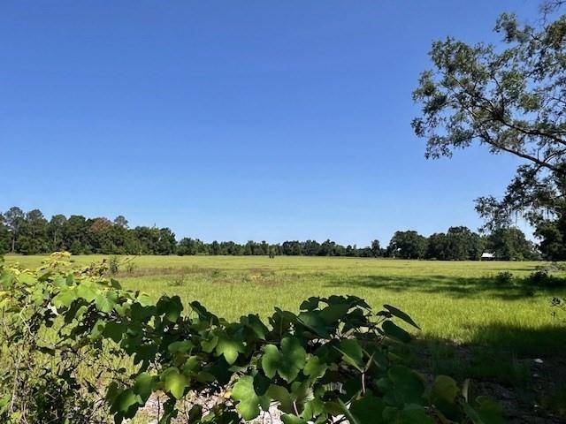 Trenton, FL 32693,NW 160TH ST
