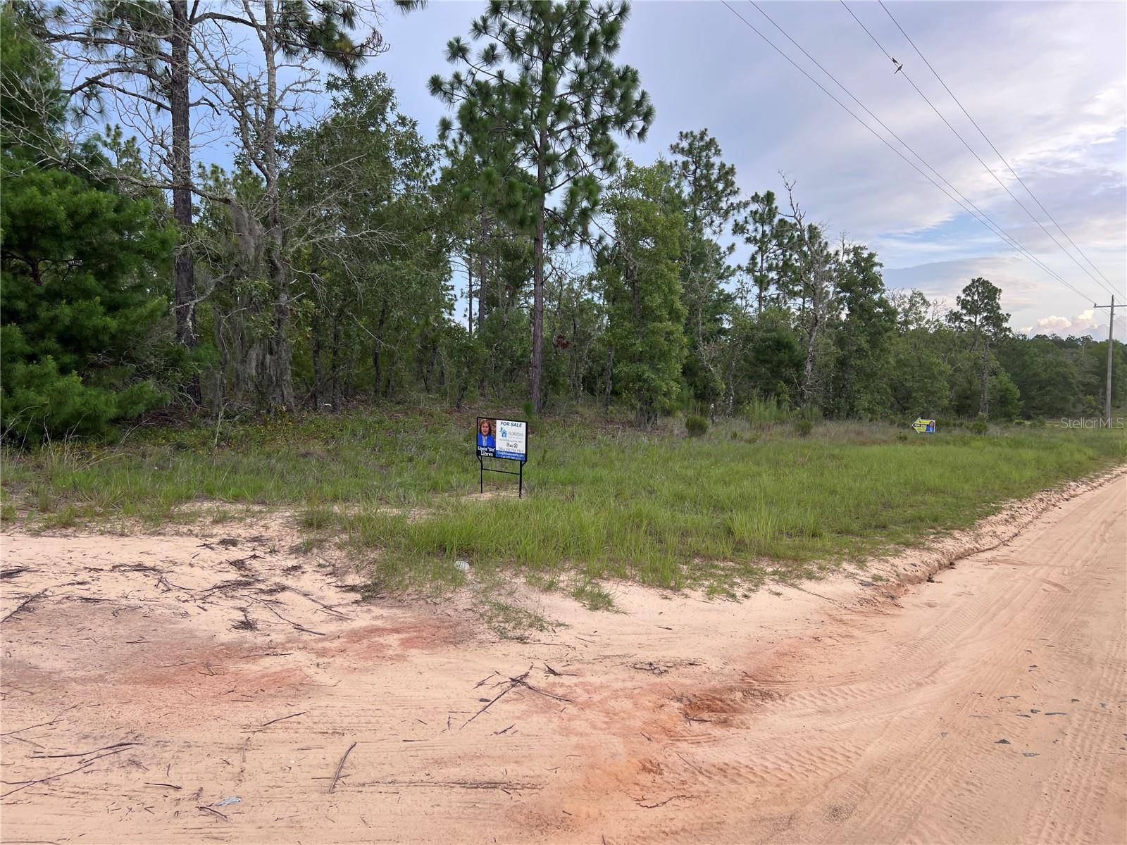 Hawthorne, FL 32640,2104 MAIN ST