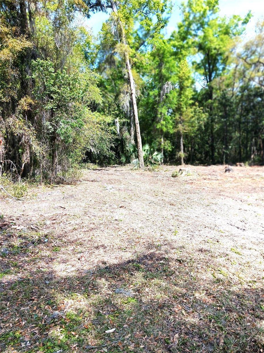 Lake City, FL 32024,TBD NE BASCOM NORRIS DR