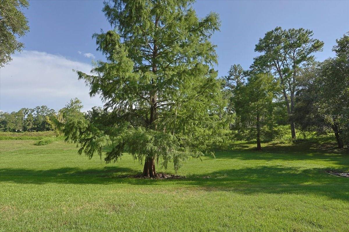 Gainesville, FL 32606,2710 NW 105TH DR
