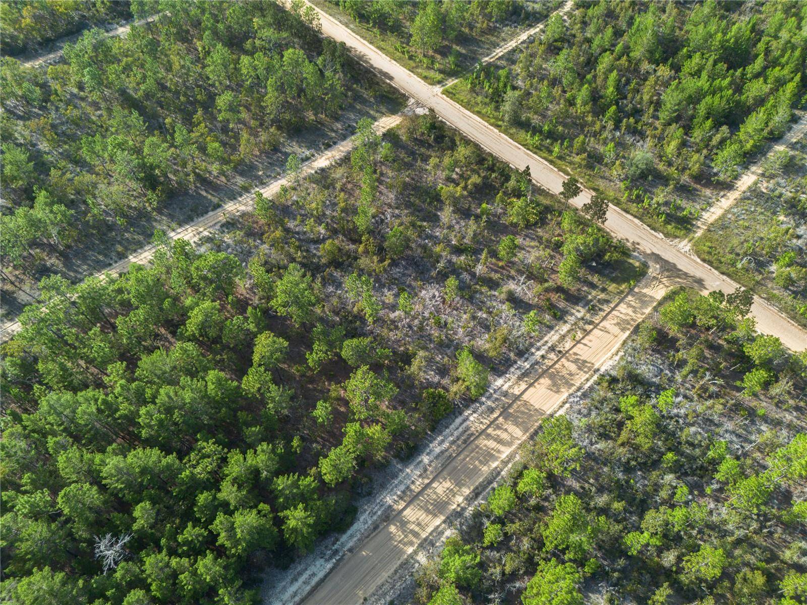 Interlachen, FL 32148,359 DOTHAN ST