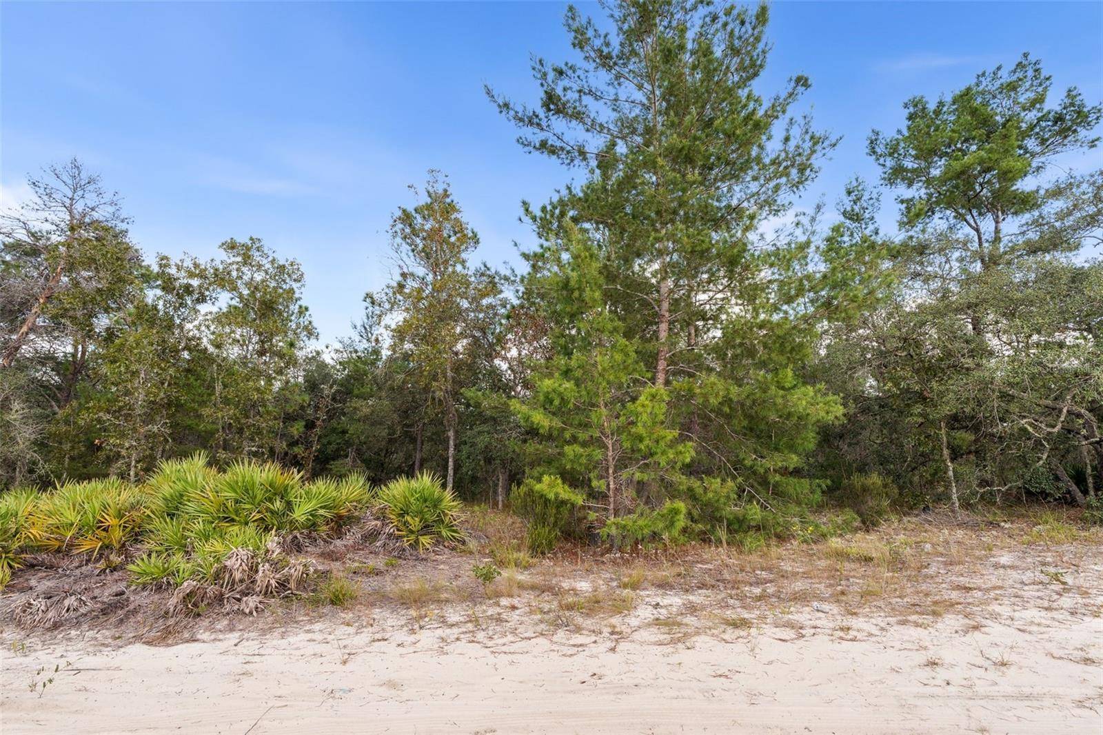 Bronson, FL 32621,0 NE 75 ST