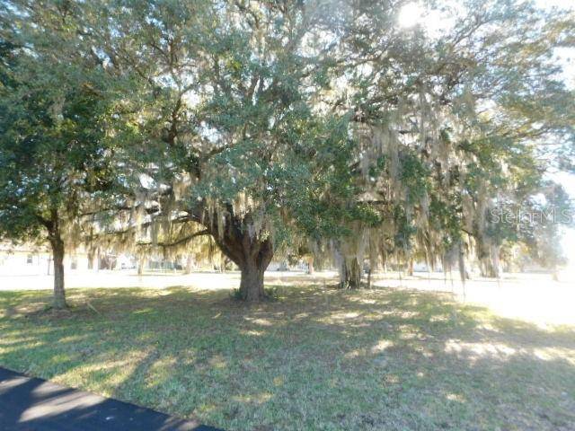 Dade City, FL 33523,35022 SMOKETREE LN