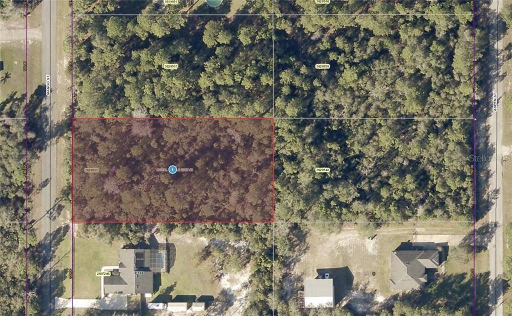 Eustis, FL 32736,MANGO ST