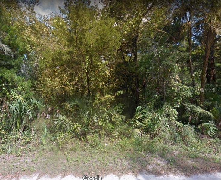 Homosassa, FL 34448,10563 W WOODLAND PL