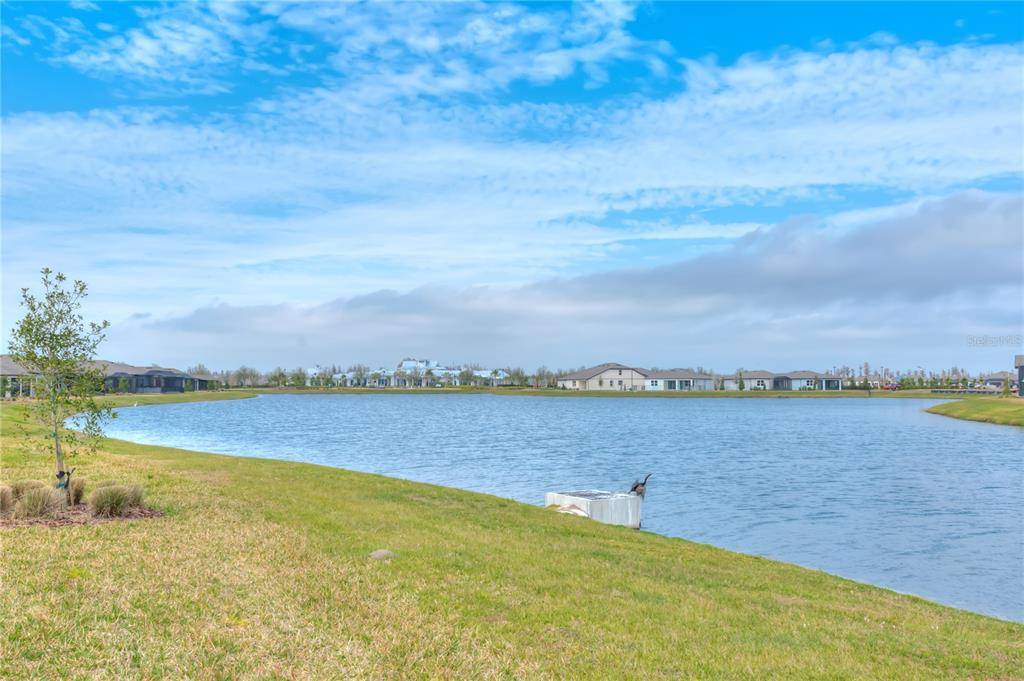 Land O Lakes, FL 34638,19231 COASTAL SHORE TER