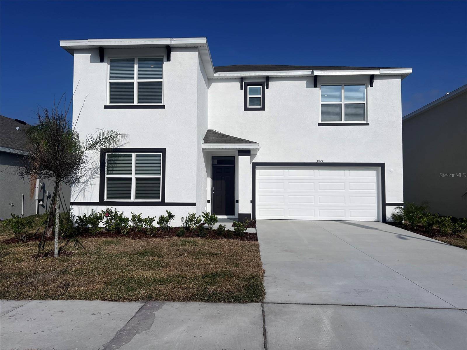 Wesley Chapel, FL 33545,31127 PENNY SURF LOOP
