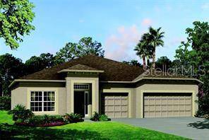 Wesley Chapel, FL 33545,7730 NOTCHED PINE BND