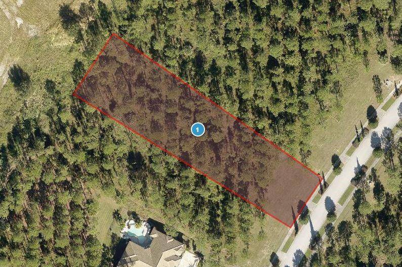 Montverde, FL 34756,16146 PENDIO DR