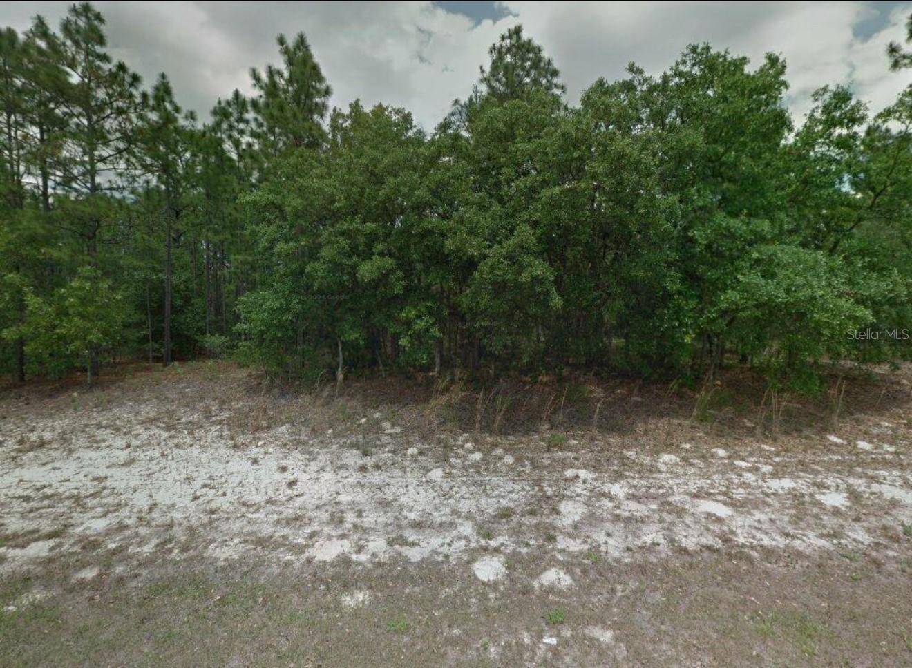 Citrus Springs, FL 34434,8589 N DELTONA BLVD