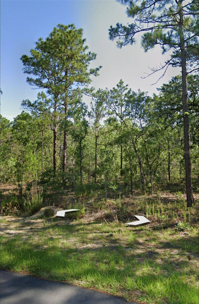 Wildwood, FL 34785,1918 CR 243C