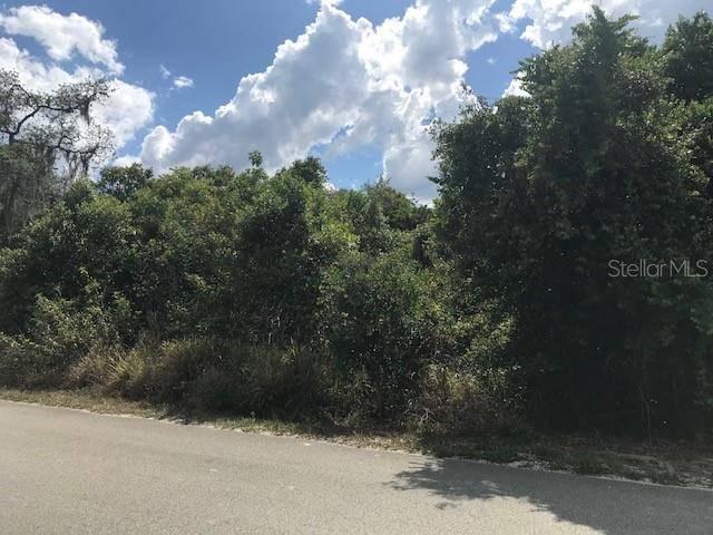 Babson Park, FL 33827,MOUNTAIN DR