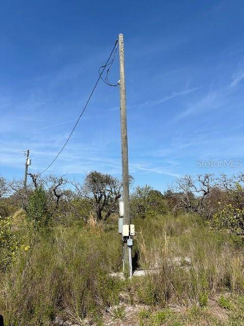 Frostproof, FL 33843,0 HAMMONS RD